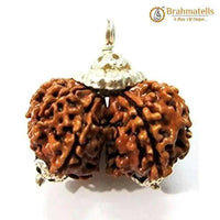 Collector Gauri Shankar Rudraksha Pendant - Divine Harmony & Unity | Brahmatells by Brahmatells