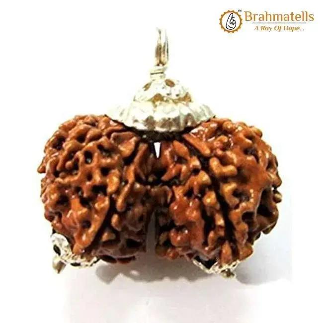 Collector Gauri Shankar Rudraksha Pendant - Divine Harmony & Unity | Brahmatells by Brahmatells