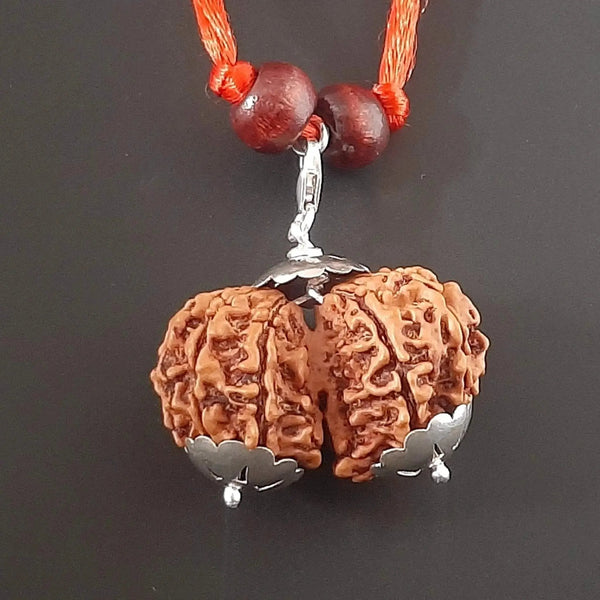 Collector Size Gauri Shankar Rudraksha Pendant - Divine Harmony | Brahmatells by Brahmatells