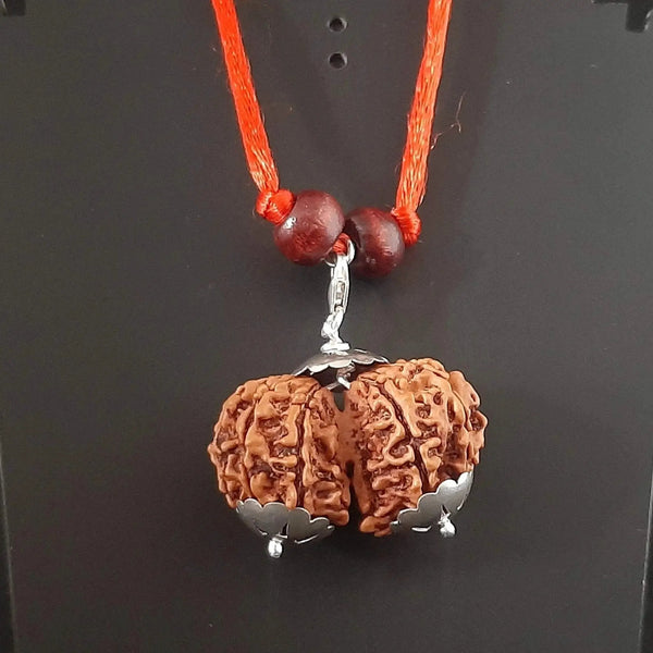 Collector Size Gauri Shankar Rudraksha Pendant - Divine Harmony | Brahmatells by Brahmatells