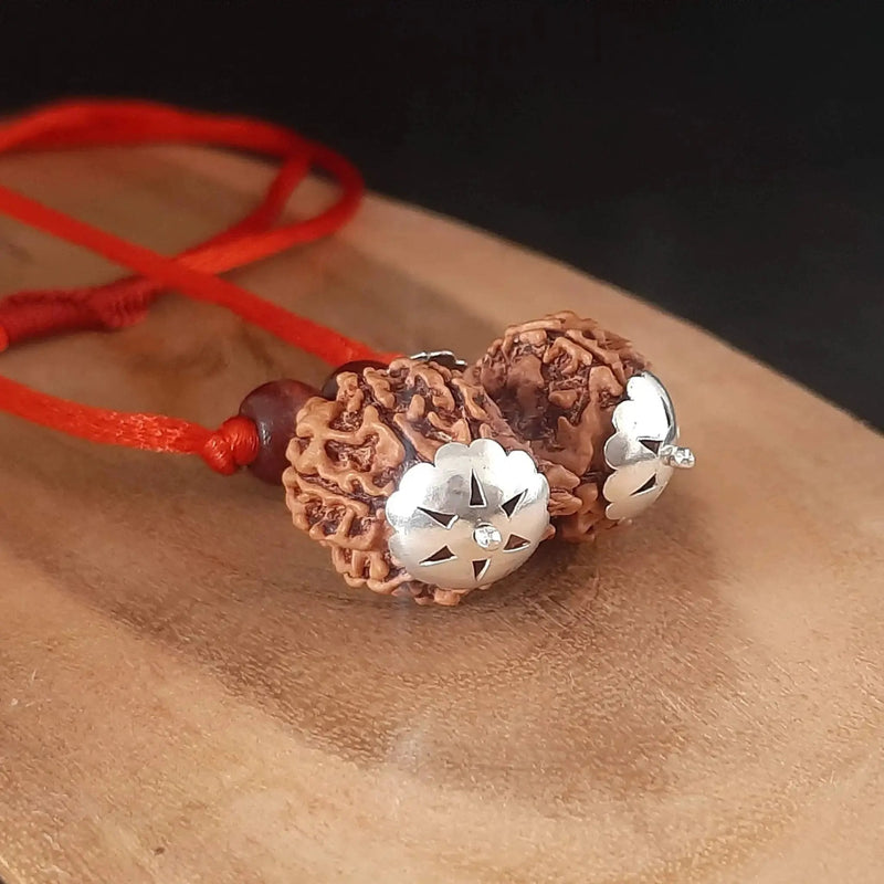 Collector Size Gauri Shankar Rudraksha Pendant - Divine Harmony | Brahmatells by Brahmatells