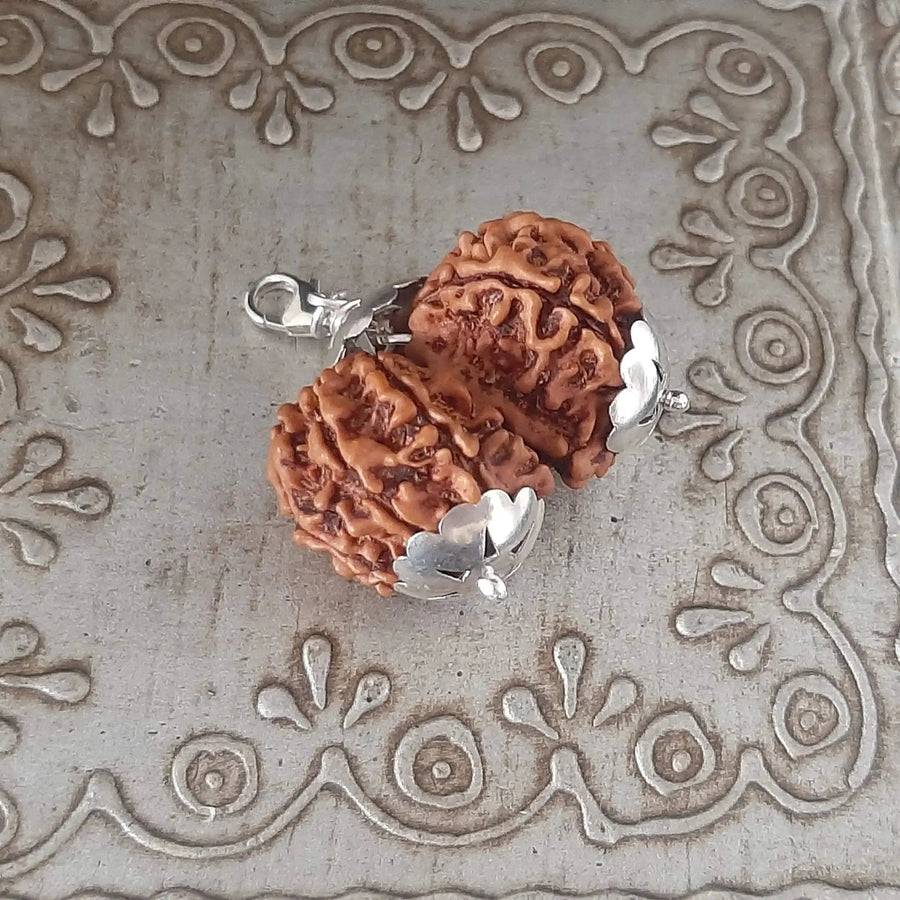 Collector Size Gauri Shankar Rudraksha Pendant - Divine Harmony | Brahmatells by Brahmatells