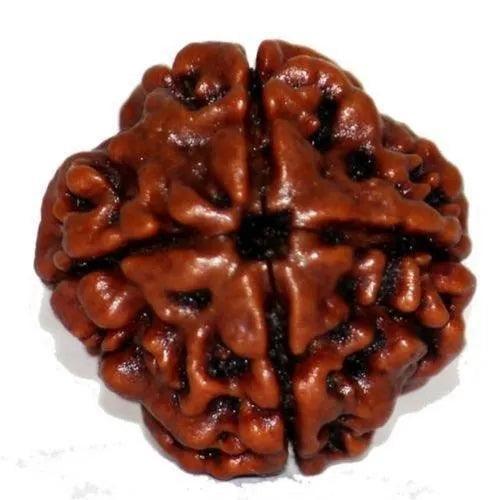 Dark Brown 4 Mukhi Rudraksha Bead - Channeling Brahma's Wisdom | Brahmatells by Brahmatells