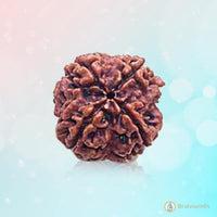 Dark Brown 4 Mukhi Rudraksha Bead - Wisdom of Brahma | Brahmatells by Brahmatells