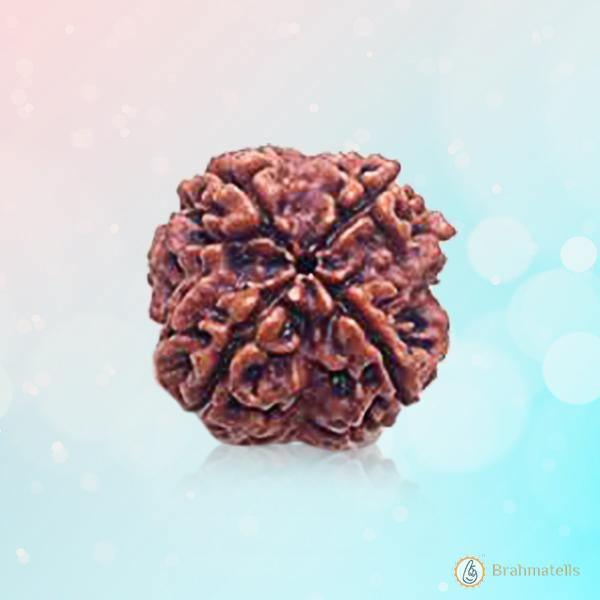 Dark Brown 4 Mukhi Rudraksha Bead - Wisdom of Brahma | Brahmatells by Brahmatells