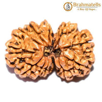 Divine Harmony Gauri Ganesh Rudraksha Java - Strengthen Family Bonds | Brahmatells by Brahmatells