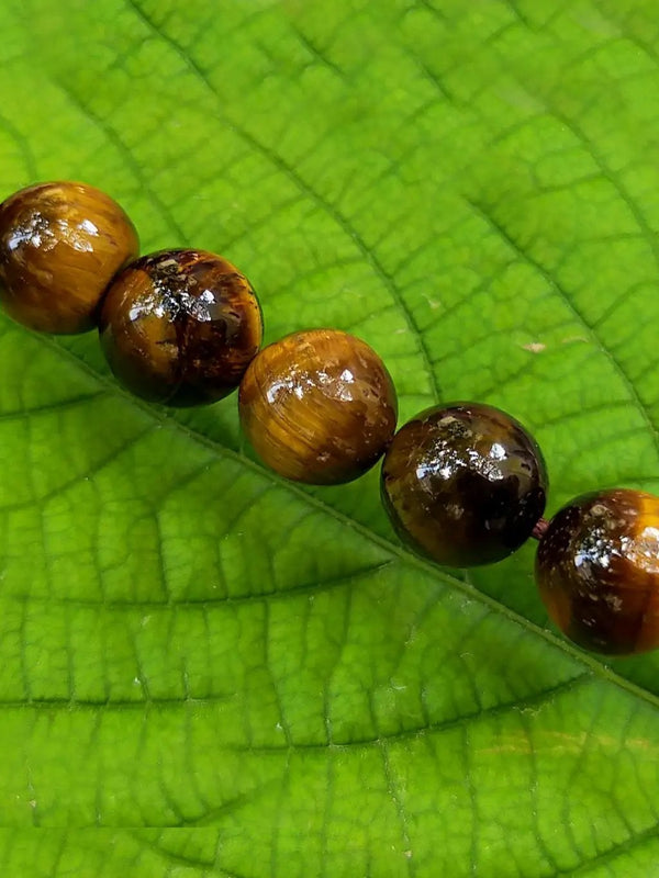 Empower Your Focus: Tiger's Eye Band | Brahmatells by Brahmatells