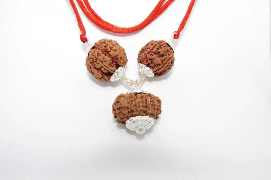 Empower Your Personality with Rudraksha Beads | Brahmatells by Brahmatells