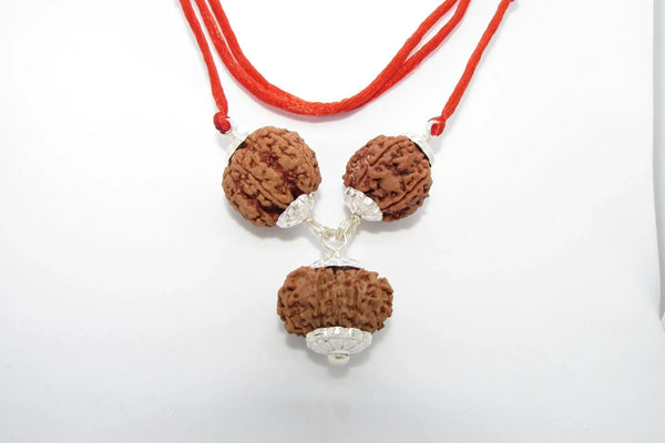 Empower Your Personality with Rudraksha Beads | Brahmatells by Brahmatells