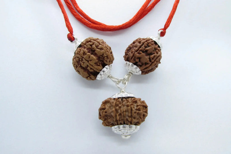 Empower Your Personality with Rudraksha Beads | Brahmatells by Brahmatells