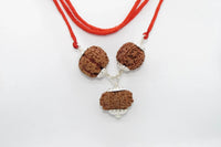 Empower Your Personality with Rudraksha Beads | Brahmatells by Brahmatells