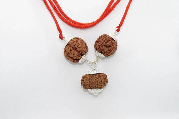 Empower Your Personality with Rudraksha Beads | Brahmatells by Brahmatells