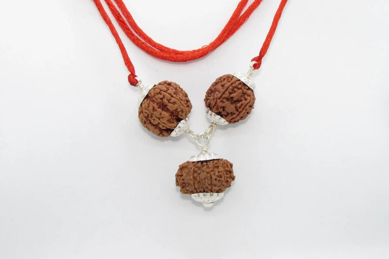 Empower Your Personality with Rudraksha Beads | Brahmatells by Brahmatells