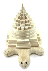 Energised Vastu Tortoise Meru Shriparni Shri Yantra Vastu Pyramid Yantra by Brahmatells