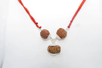 Enhance Career Prospects with Rudraksha for Salary Increment | Brahmatells by Brahmatells