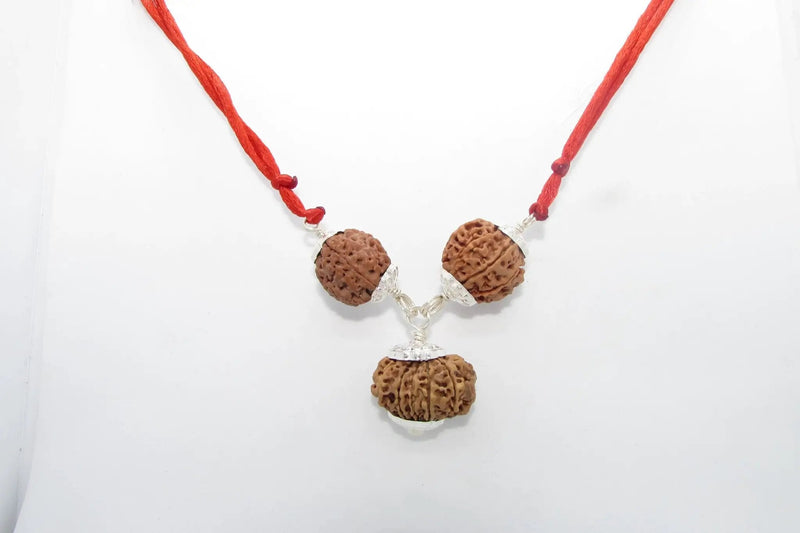 Enhance Career Prospects with Rudraksha for Salary Increment | Brahmatells by Brahmatells