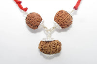 Enhance Career Prospects with Rudraksha for Salary Increment | Brahmatells by Brahmatells
