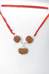 Enhance Career Prospects with Rudraksha for Salary Increment | Brahmatells by Brahmatells