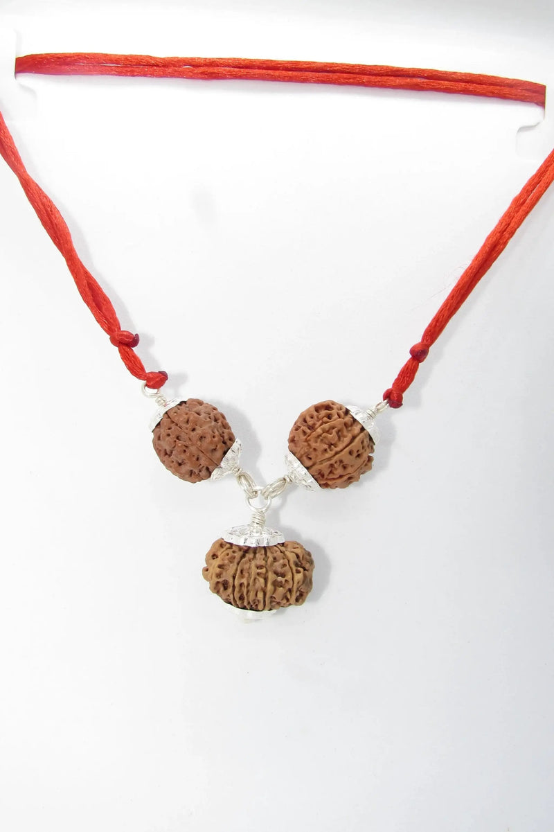 Enhance Career Prospects with Rudraksha for Salary Increment | Brahmatells by Brahmatells