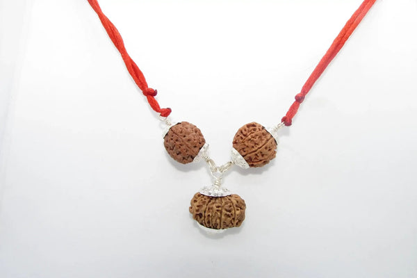 Enhance Career Prospects with Rudraksha for Salary Increment | Brahmatells by Brahmatells