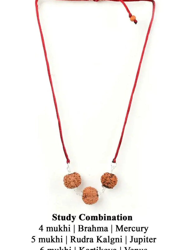 Enhance Learning & Creativity with Study Enhancement Rudraksha Combination | Brahmatells by Brahmatells