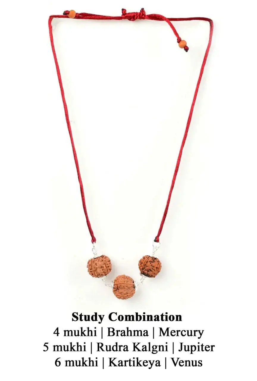 Enhance Learning & Creativity with Study Enhancement Rudraksha Combination | Brahmatells by Brahmatells