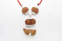 Enhance Your Meditation with Special Rudraksha Combination | Brahmatells by Brahmatells