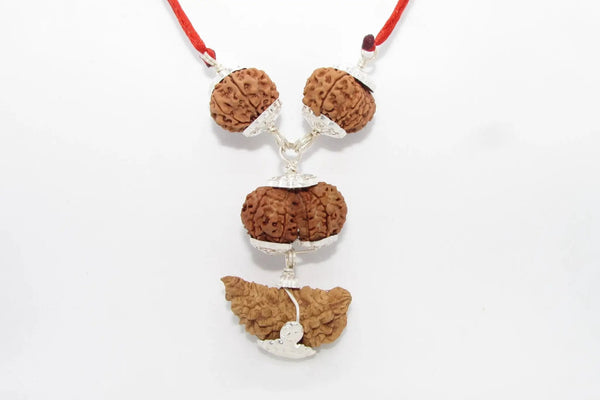 Enhance Your Meditation with Special Rudraksha Combination | Brahmatells by Brahmatells