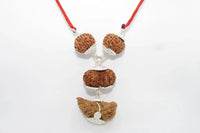 Enhance Your Meditation with Special Rudraksha Combination | Brahmatells by Brahmatells