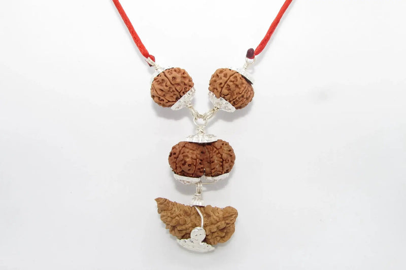 Enhance Your Meditation with Special Rudraksha Combination | Brahmatells by Brahmatells