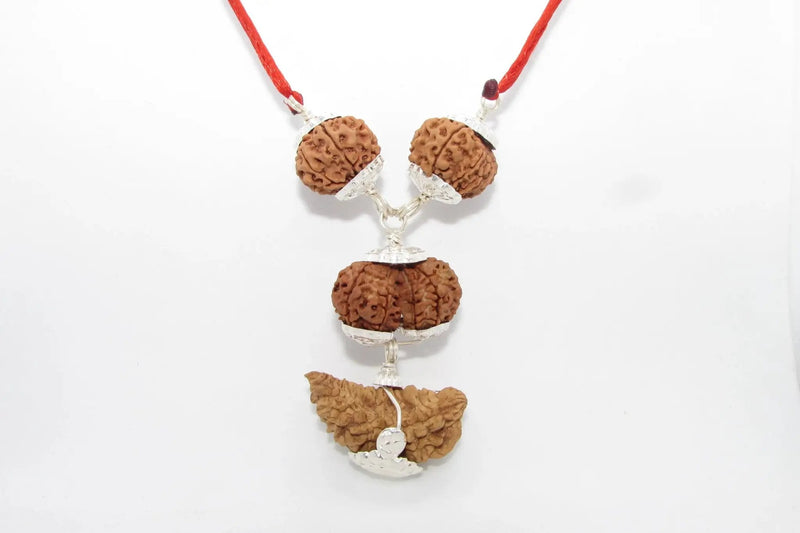 Enhance Your Meditation with Special Rudraksha Combination | Brahmatells by Brahmatells
