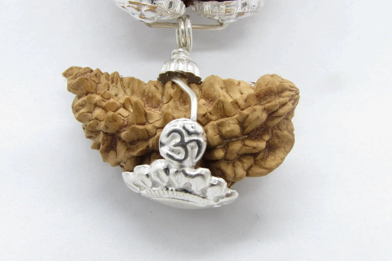 Enhance Your Meditation with Special Rudraksha Combination | Brahmatells by Brahmatells