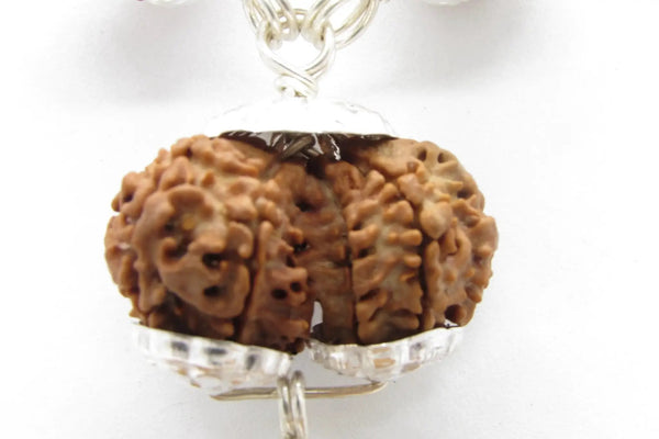 Enhance Your Meditation with Special Rudraksha Combination | Brahmatells by Brahmatells