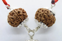 Enhance Your Meditation with Special Rudraksha Combination | Brahmatells by Brahmatells