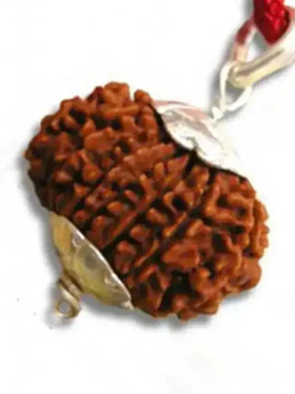 Exclusive 13 Mukhi Rudraksha Pendant for Charismatic Influence | Brahmatells by Brahmatells