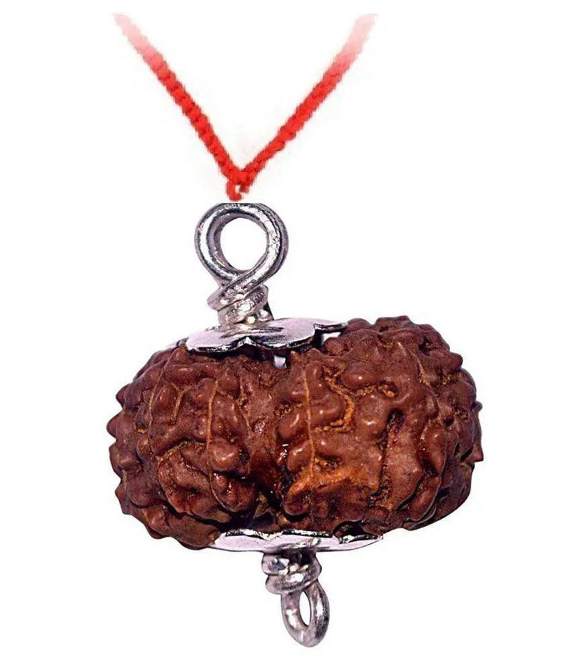 Exclusive 13 Mukhi Rudraksha Pendant for Charismatic Influence | Brahmatells by Brahmatells