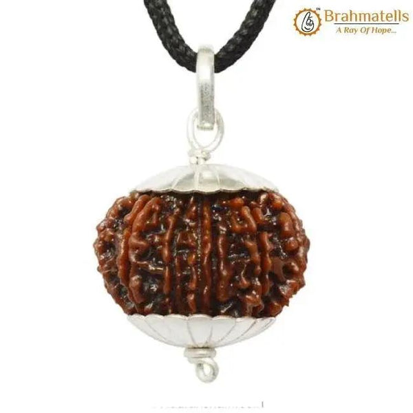 Exclusive 13 Mukhi Rudraksha Pendant for Charismatic Influence | Brahmatells by Brahmatells