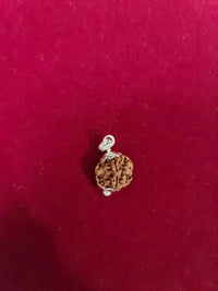 Exclusive Indian 1 Mukhi Rudraksha for Spiritual Mastery | Brahmatells by Brahmatells