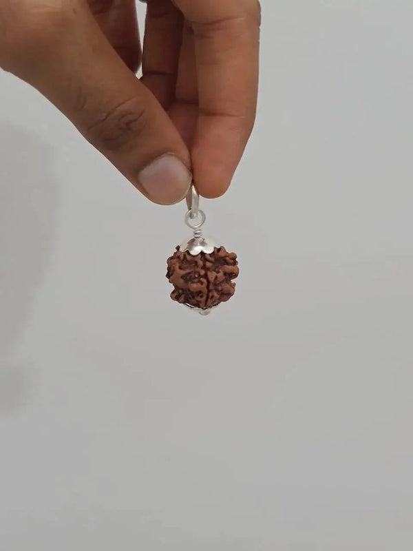 Exclusive Indian 1 Mukhi Rudraksha for Spiritual Mastery | Brahmatells by Brahmatells
