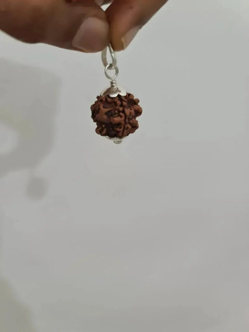 Exclusive Indian 1 Mukhi Rudraksha for Spiritual Mastery | Brahmatells by Brahmatells