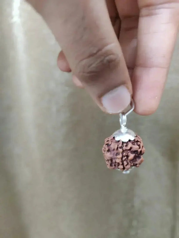 Exclusive Indian 1 Mukhi Rudraksha for Spiritual Mastery | Brahmatells by Brahmatells
