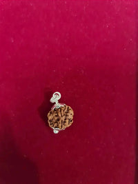 Exclusive Indian 1 Mukhi Rudraksha for Spiritual Mastery | Brahmatells by Brahmatells