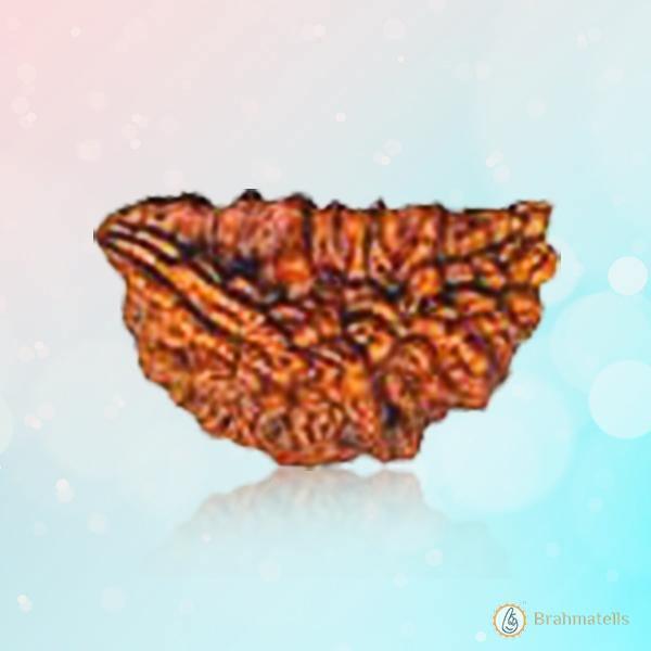 Exclusive One Mukhi Rudraksha Pendant in Reddish-Brown - Emblem of Shiva's Wisdom | Brahmatells by Brahmatells