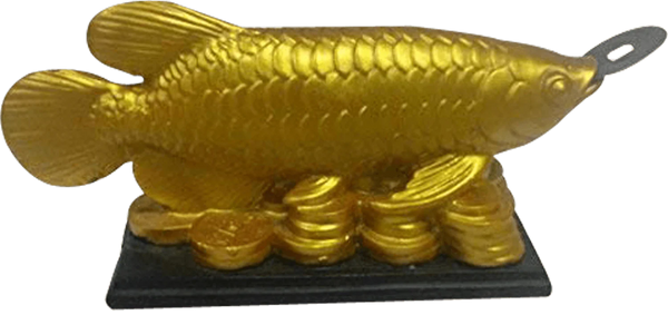 Feng Shui Golden Arowana Fish Strong Wealth Symbol & Protects From Mishaps, Troubles by Brahmatells