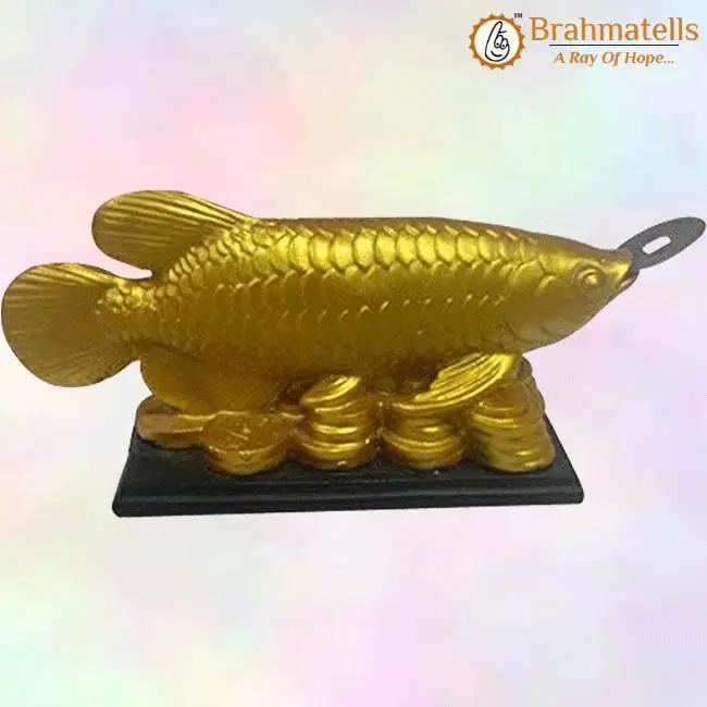 Feng Shui Golden Arowana Fish Strong Wealth Symbol & Protects From Mishaps, Troubles by Brahmatells