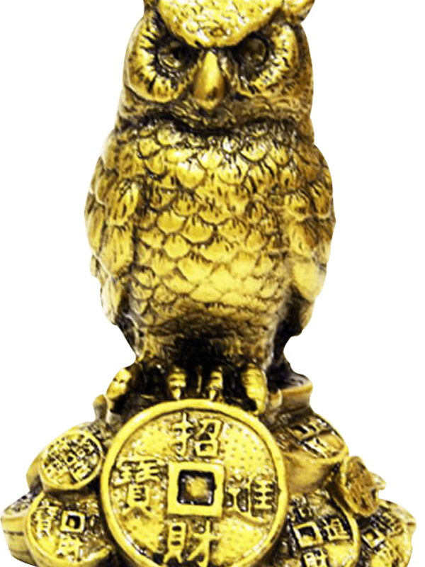 Feng Shui Owl A Symbol Of Wisdom And Protection From Evil by Brahmatells