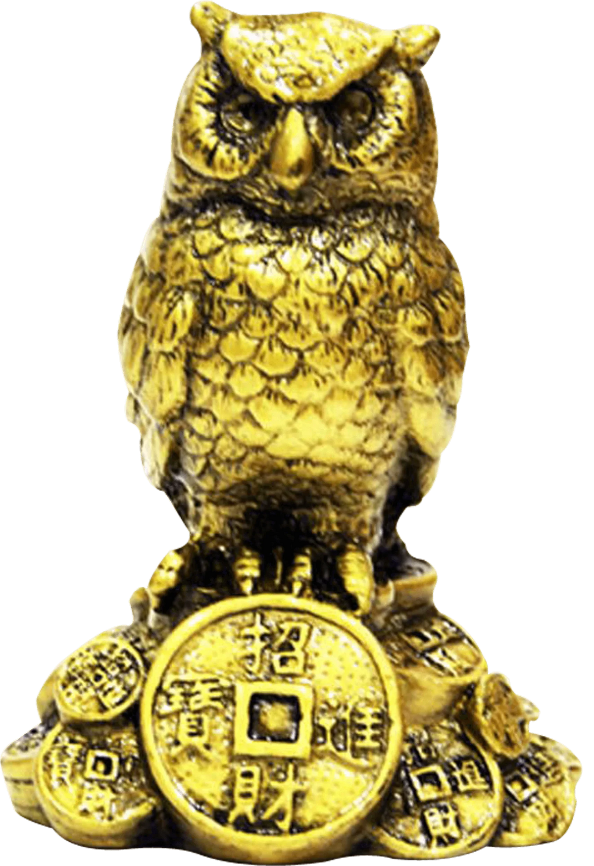 Feng Shui Owl A Symbol Of Wisdom And Protection From Evil by Brahmatells