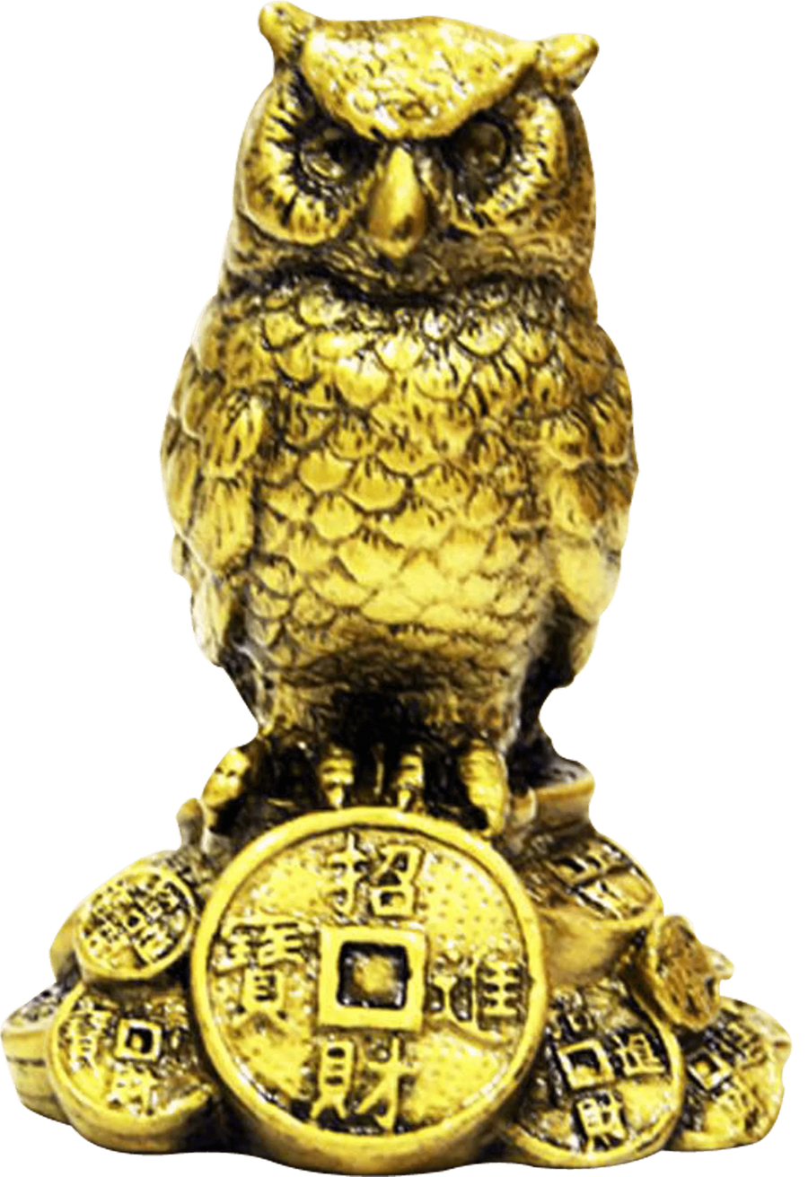 Feng Shui Owl A Symbol Of Wisdom And Protection From Evil by Brahmatells
