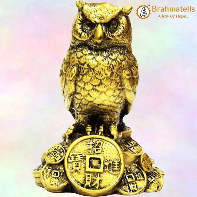 Feng Shui Owl A Symbol Of Wisdom And Protection From Evil by Brahmatells