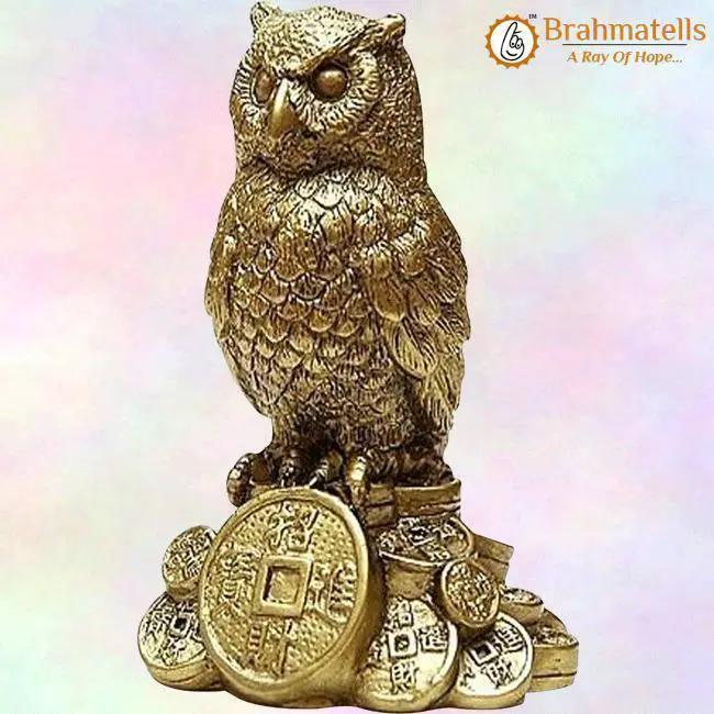 Feng Shui Owl A Symbol Of Wisdom And Protection From Evil by Brahmatells